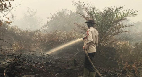 Tim Gabungan Padamkan Karhutla di Tahura Sungai Aur dan Lahan Desa Sumber Jaya